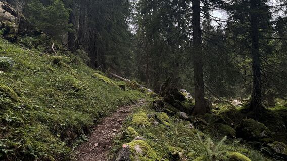 Photo de Henrik Singelmann le long du parcours