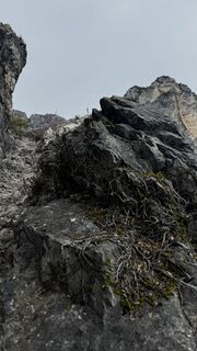 Fotografie z ROBERTO BONIOTTI na trase
