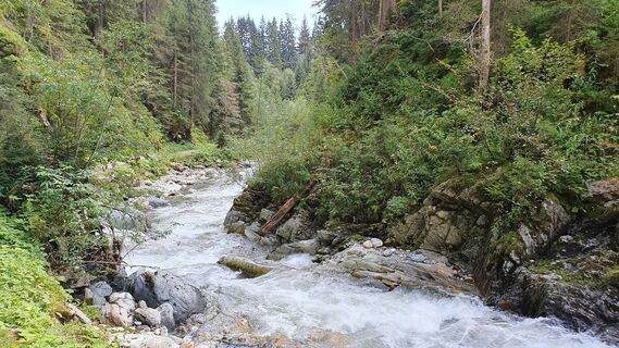 Fotografia z Gerrit van der Linde na trase