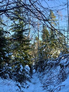 Fotografija s spletne strani CT na poti