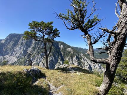 Photo from Josef Kramer along the tour