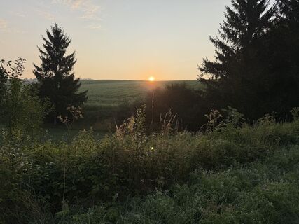 Donauwörth Gehen am morgen