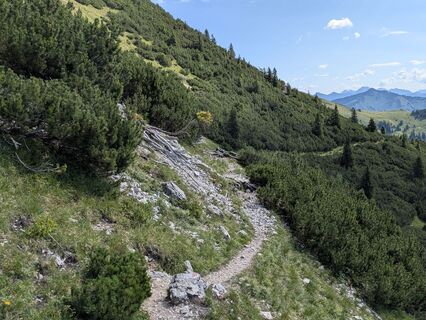 Photo de Margot 1234 le long du parcours