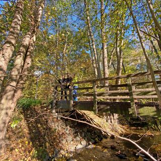 Bruecke_Quirrenbacher-Muehle