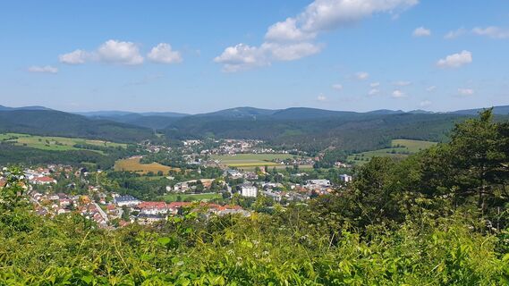 Fotografia z Bernard na trase