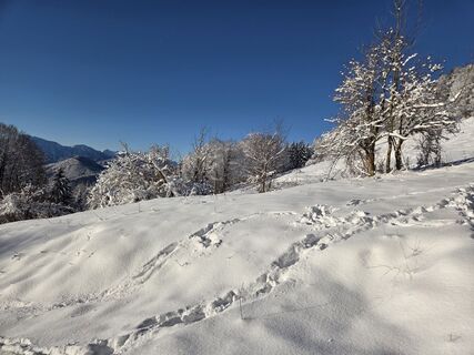 Foto de GerhardAho a lo largo del recorrido
