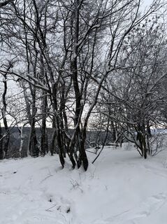 Zdjęcie z István Rab wzdłuż trasy