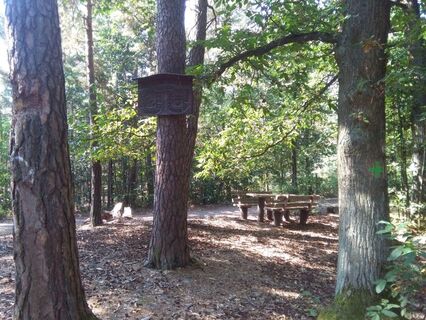 Pfälzerwald - Burgunder Rastplatz 2