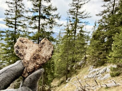 Zdjęcie z Natur_erleben_dg wzdłuż trasy