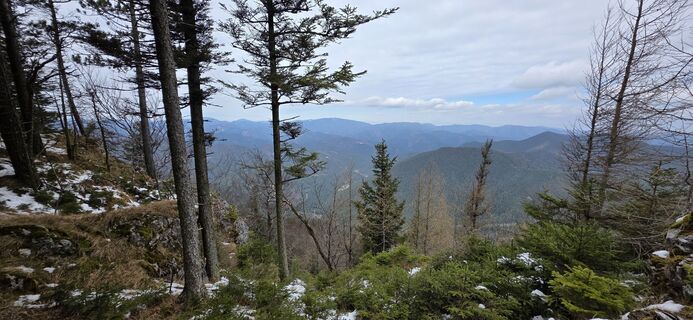 Foto de Helmut Neuhold a lo largo del recorrido
