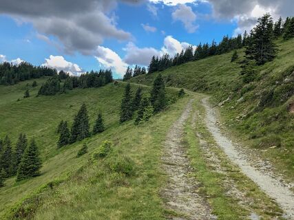 Foto de Josef Pauli 1 a lo largo del recorrido