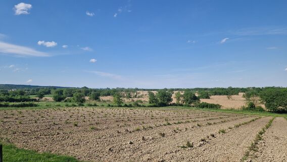 Fotografia z MauiGra na trase