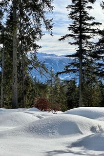 Foto von likedhikes entlang der Tour