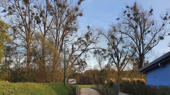 8.3 km Brücke über den Innbach in Breitenaich