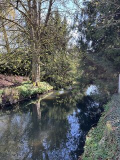 Photo de Lothar le long du parcours