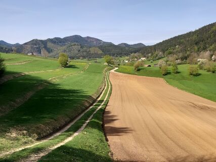 Photo de Andreas Cap le long du parcours