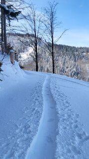 Foto de Daniela Überreich a lo largo del recorrido