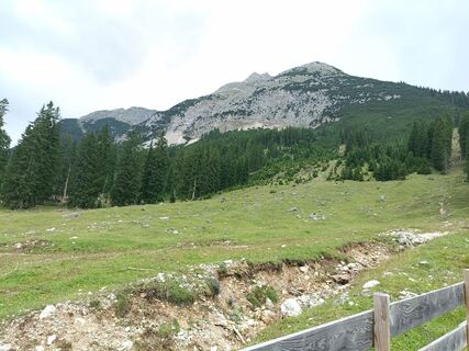 Foto de Wilfried a lo largo del recorrido