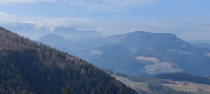 Fotografia z Andreas Holzer na trase