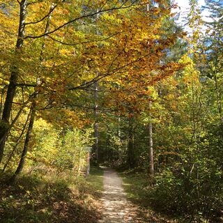 Herbststimmung am Höhenweg
