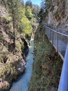 Fotografija s spletne strani Heikoala na poti