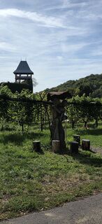 Foto von fauwo entlang der Tour
