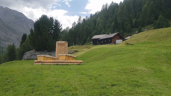Fotografija s spletne strani Freebiker na poti