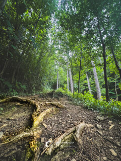 Zdjęcie z Leo Fahrngruber wzdłuż trasy