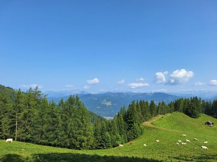 Foto von Harald Stix 1 entlang der Tour