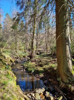Photo de Andreas Mohr le long du parcours