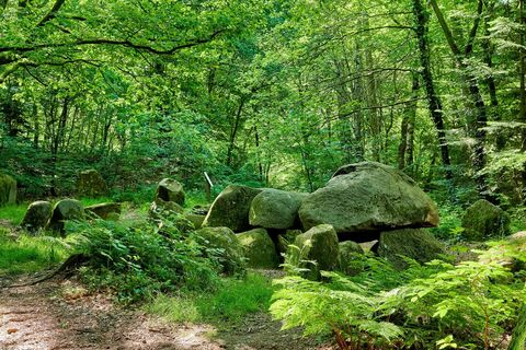 Großsteingräber am Vorgeschichtspfad