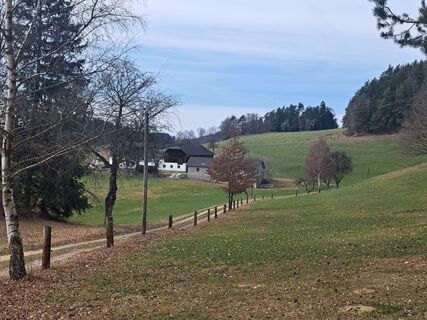 Fotografija s spletne strani Bellou na poti