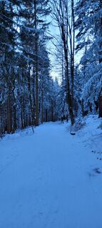 Foto von Nicky entlang der Tour