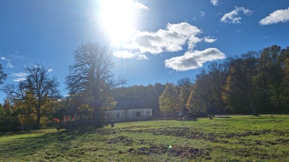 Fotografia z Regina Fleischmann na trase