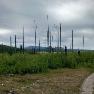 Photo de Steffen Aberle le long du parcours