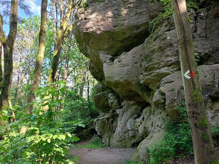 Fotografia z Rene Mrakava na trase