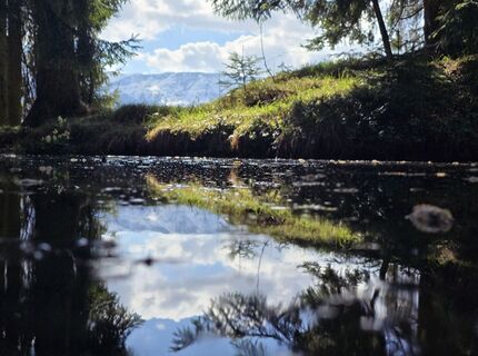 Fotografija s spletne strani Milán 15 na poti