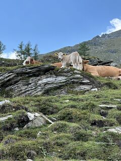 Photo de Hannes Gelter le long du parcours