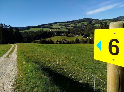 Aussicht auf die Landschaft in Wenigzell_Wenigzell_Oststeiermark