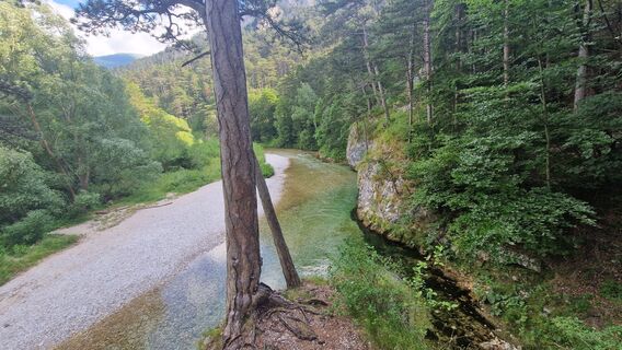 Fotografija s spletne strani EP87 na poti