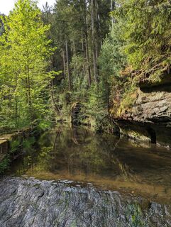 Zdjęcie z dgerber wzdłuż trasy
