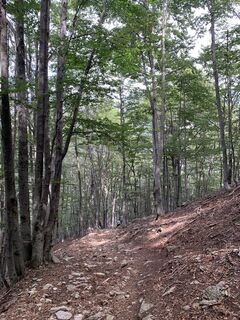 Foto de Koen De Wit a lo largo del recorrido