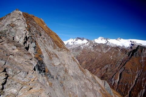 2 ganz Große Wiesbauer und Venediger