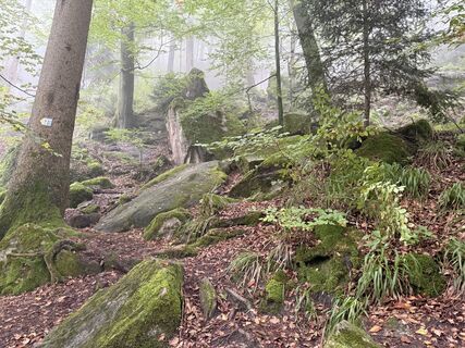 Fotografija s spletne strani Norbert Herbig na poti