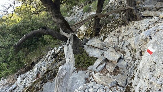 Photo de Claudio Garzetti le long du parcours