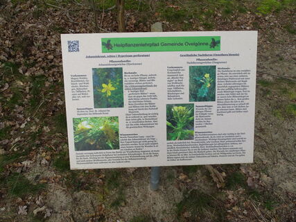 Heilpflanzenlehrpfad