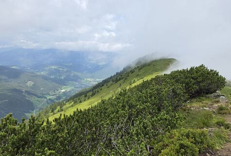 Foto von Poestlingberg entlang der Tour