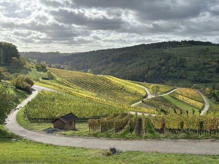 Photo de S Michel584 le long du parcours