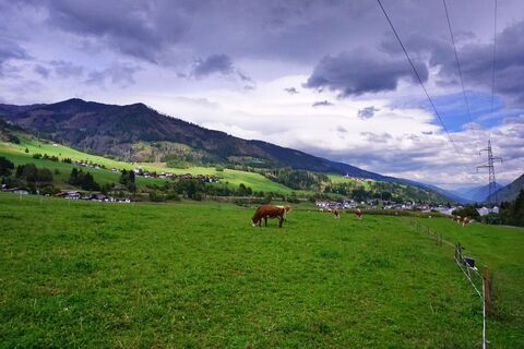 Fotografia z Walter Köllner na trase