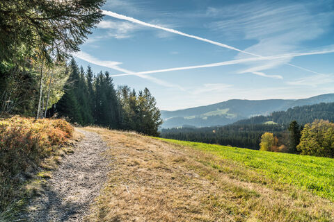 Herbstbilder Breitnau (3)